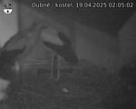 Capi_Dubne_20250419_020502.jpg