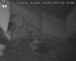 Capi_Dubne_20250419_021006.jpg