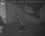 Capi_Dubne_20250419_021517.jpg