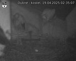 Capi_Dubne_20250419_023507.jpg