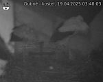 Capi_Dubne_20250419_034003.jpg