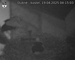 Capi_Dubne_20250419_041503.jpg