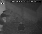 Capi_Dubne_20250419_042502.jpg