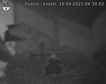 Capi_Dubne_20250419_043002.jpg