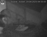 Capi_Dubne_20250419_045503.jpg