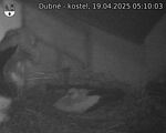 Capi_Dubne_20250419_051003.jpg