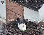 Capi_Dubne_20250419_060003.jpg