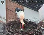 Capi_Dubne_20250419_060503.jpg