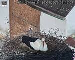 Capi_Dubne_20250419_084504.jpg