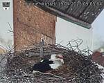 Capi_Dubne_20250419_090504.jpg