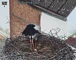 Capi_Dubne_20250419_092502.jpg
