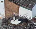 Capi_Dubne_20250419_101502.jpg