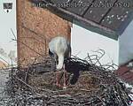 Capi_Dubne_20250419_105502.jpg