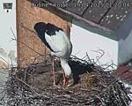 Capi_Dubne_20250419_112004.jpg