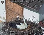 Capi_Dubne_20250419_113002.jpg