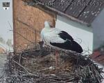 Capi_Dubne_20250419_120502.jpg