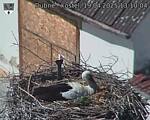 Capi_Dubne_20250419_131004.jpg