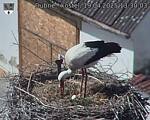 Capi_Dubne_20250419_133003.jpg