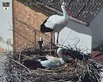 Capi_Dubne_20250419_135004.jpg