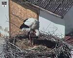 Capi_Dubne_20250419_140002.jpg