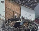 Capi_Dubne_20250419_141502.jpg