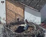 Capi_Dubne_20250419_142502.jpg
