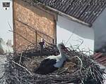 Capi_Dubne_20250419_143003.jpg
