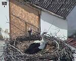 Capi_Dubne_20250419_144003.jpg