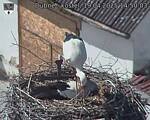 Capi_Dubne_20250419_145003.jpg