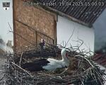 Capi_Dubne_20250419_150003.jpg