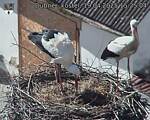 Capi_Dubne_20250419_152504.jpg