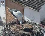 Capi_Dubne_20250419_154002.jpg