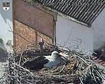 Capi_Dubne_20250419_155004.jpg