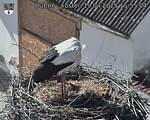Capi_Dubne_20250419_155504.jpg