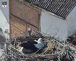 Capi_Dubne_20250419_160004.jpg