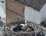 Capi_Dubne_20250419_161003.jpg