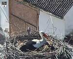Capi_Dubne_20250419_161503.jpg
