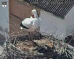 Capi_Dubne_20250419_163503.jpg