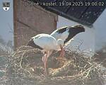 Capi_Dubne_20250419_190002.jpg