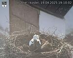 Capi_Dubne_20250419_191002.jpg