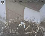 Capi_Dubne_20250419_192002.jpg