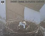 Capi_Dubne_20250419_193002.jpg