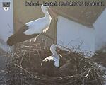 Capi_Dubne_20250419_194002.jpg
