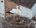 Capi_Dubne_20250419_195003.jpg