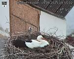 Capi_Dubne_20250419_195502.jpg