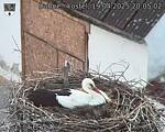 Capi_Dubne_20250419_200502.jpg