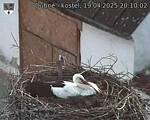 Capi_Dubne_20250419_201002.jpg