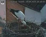Capi_Dubne_20250419_202003.jpg