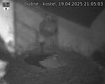 Capi_Dubne_20250419_210503.jpg