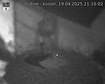 Capi_Dubne_20250419_211002.jpg